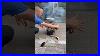 High_Efficiency_Safe_And_Smokeless_Burning_Stove_Outdoorstove_Woodstove_Stove_01_ttmf