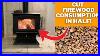 How_We_Are_Going_To_Burn_Half_The_Amount_Of_Firewood_This_Winter_Ashley_Hearth_Products_Wood_Stove_01_pt
