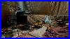 Live_Wood_Stove_Cast_Iron_Breakfast_In_The_Big_Tent_01_oex