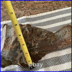 X Large Antique Wood Burning Stove Tub Feet Set 4 Gothic Gargoyle Lion 4.5 lb ea